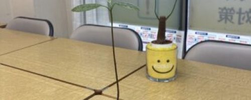 『新参者現る。』