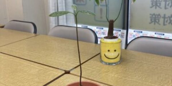 『新参者現る。』