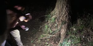 『ムシキング2023』